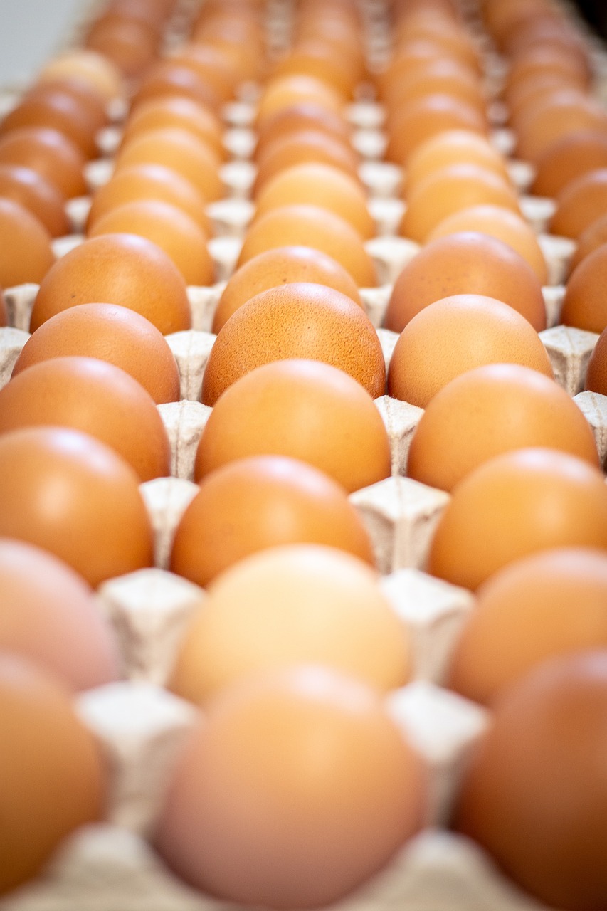 eggs, egg carton, free range, organic eggs, egg shells