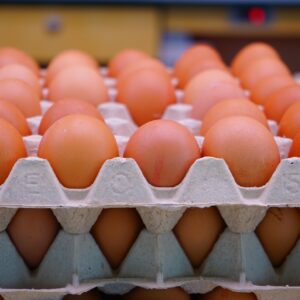 Small Size Eggs