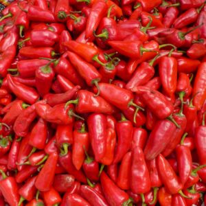 Pepper